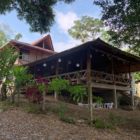Playa Tortuga Apartment Misahualli Ngoại thất bức ảnh
