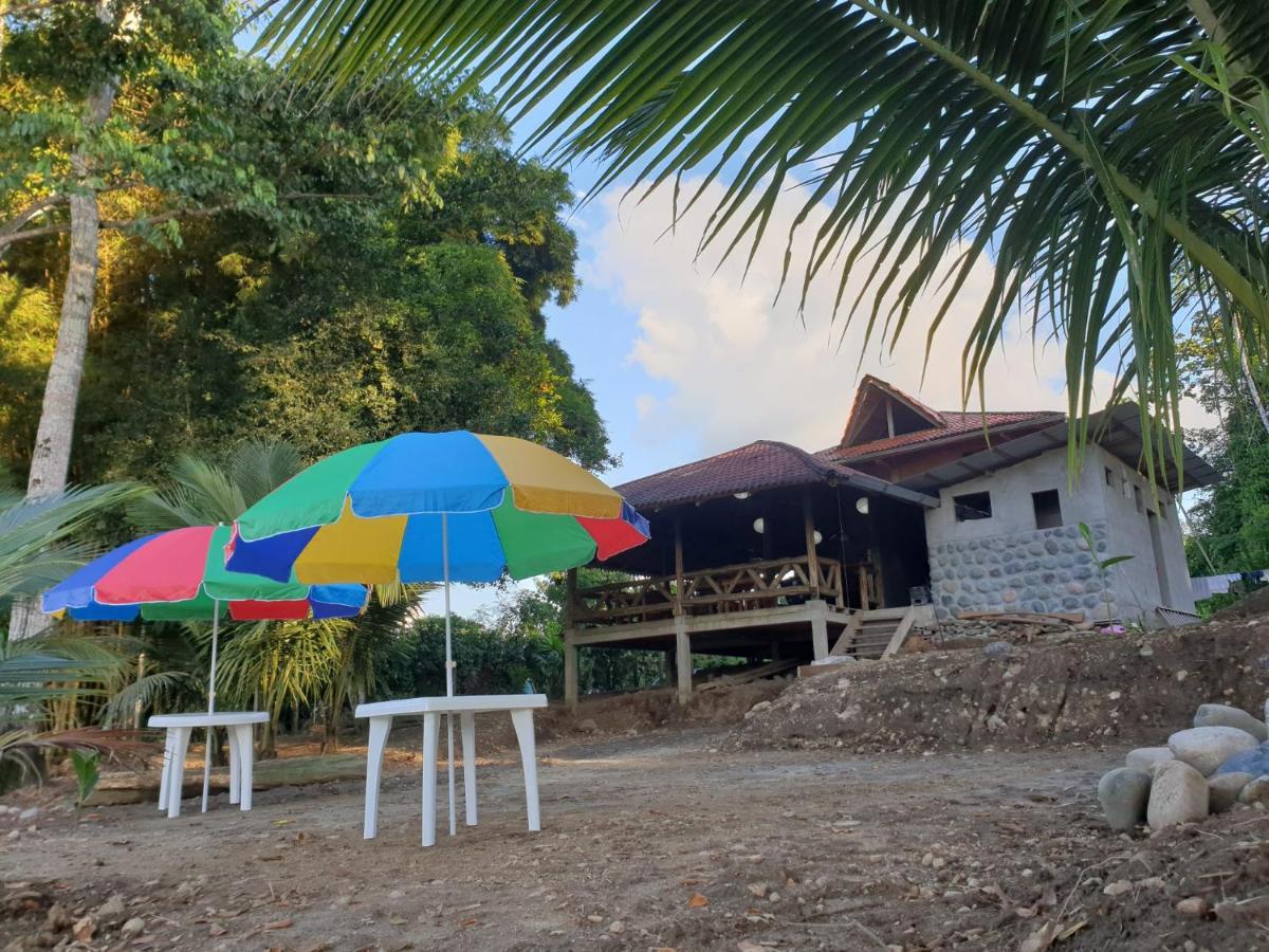 Playa Tortuga Apartment Misahualli Ngoại thất bức ảnh