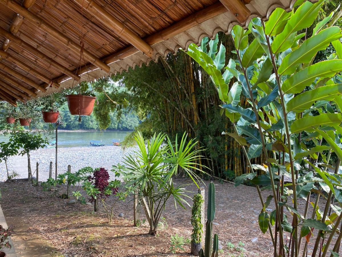 Playa Tortuga Apartment Misahualli Ngoại thất bức ảnh