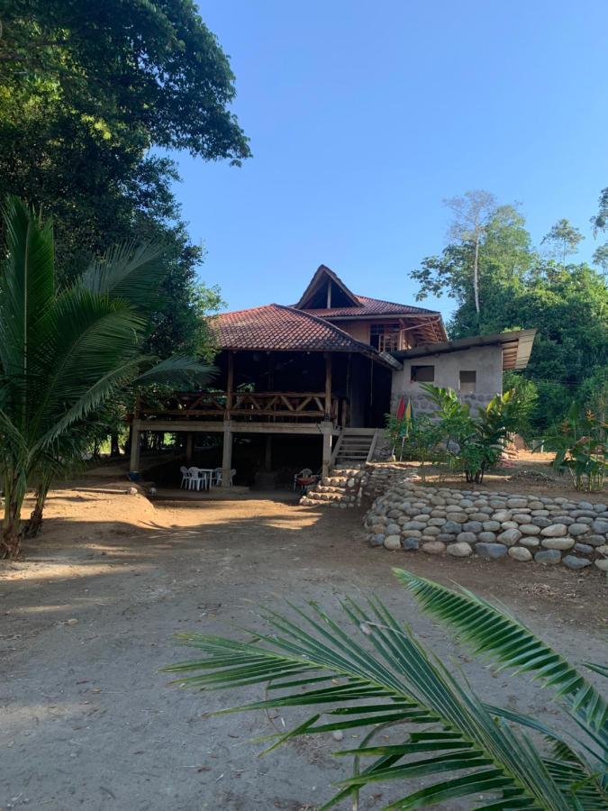 Playa Tortuga Apartment Misahualli Ngoại thất bức ảnh