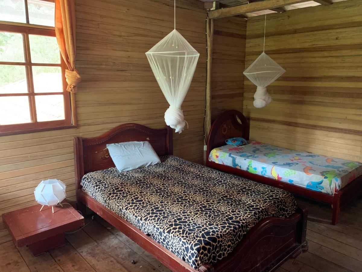 Playa Tortuga Apartment Misahualli Ngoại thất bức ảnh